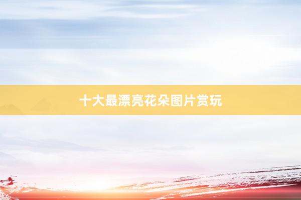 十大最漂亮花朵图片赏玩