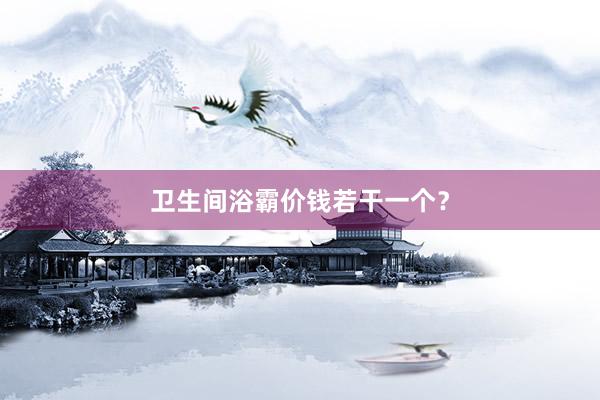 卫生间浴霸价钱若干一个？